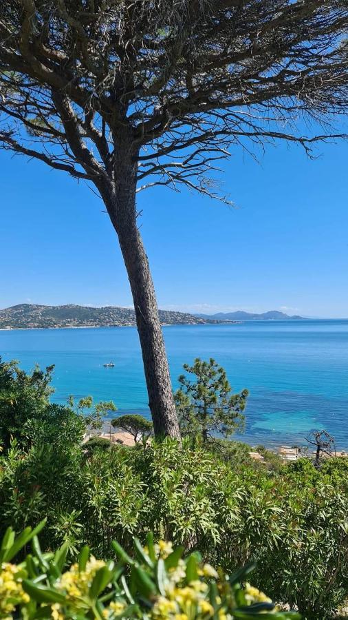 Mi Casita Apartment Sainte-Maxime Bagian luar foto